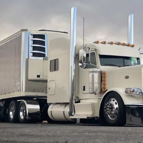 WhatsApp-Image-2025-01-18-at-3.14.31-AM2-r0c2ftg2tf2w5yvxpyu2rz2ok0ck8mxgf2y5tlnp8o